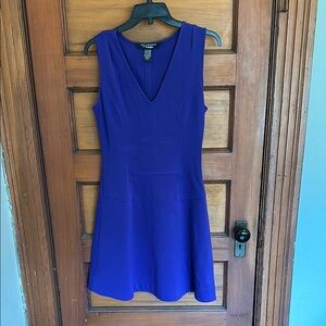 Blue Sleeveless V-Neck A-Line Cocktail Dress